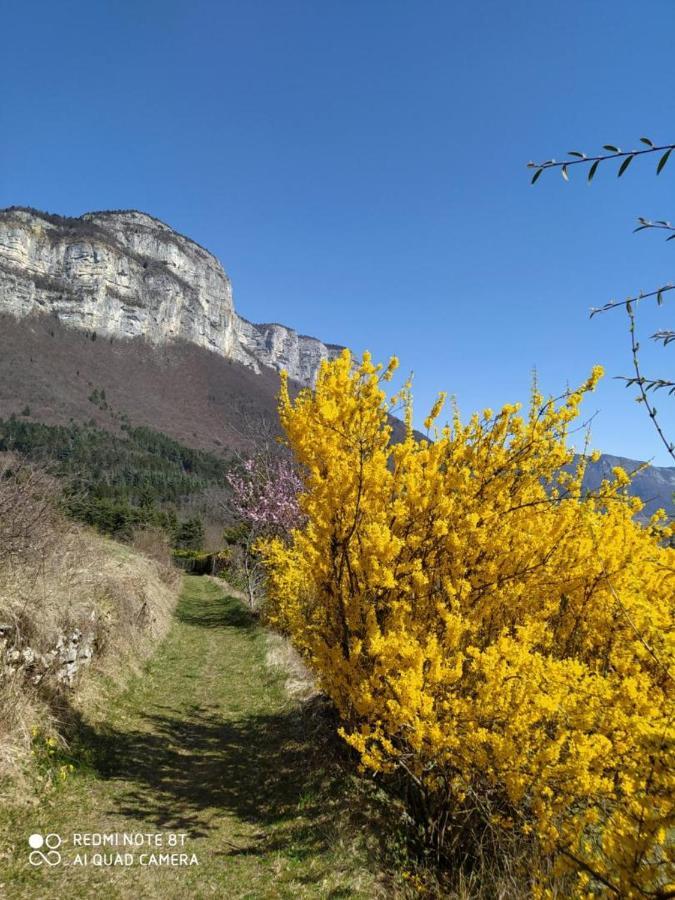 Studio Au Pied De La Montagne Et Vue Imprenable Saint-Alban  Екстериор снимка