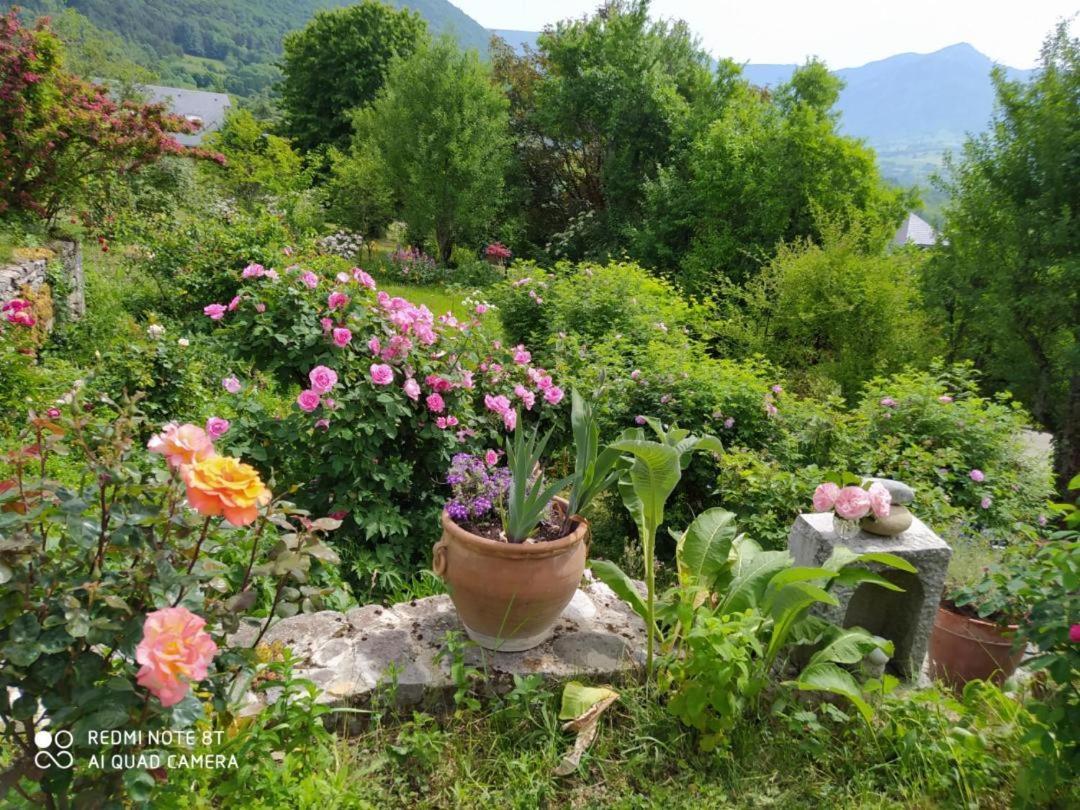 Studio Au Pied De La Montagne Et Vue Imprenable Saint-Alban  Екстериор снимка